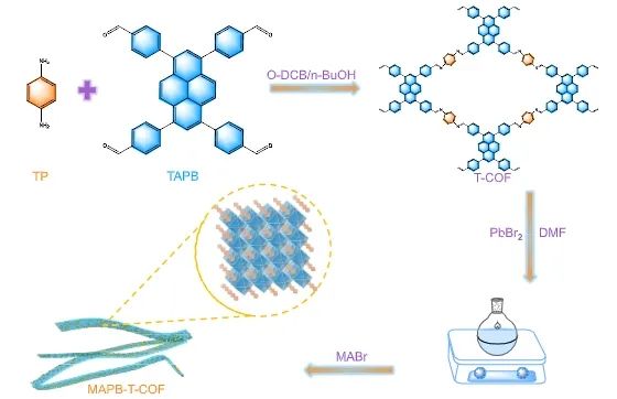 福州大學(xué)ACS Catalysis：構(gòu)建0D/1D MAPbBr3/COF異質(zhì)結(jié)，實(shí)現(xiàn)LED驅(qū)動(dòng)高效S-S耦合反應(yīng)