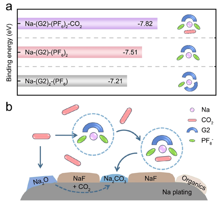 強！一周內連發Nature子刊、JACS，這個團隊成果斐然！