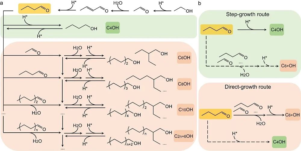 熊宇杰/王鐵軍/仇松柏，最新Nature子刊！