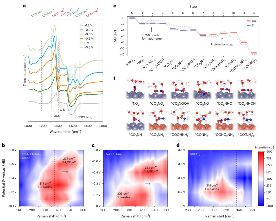 超燃！他，Nature Catalysis、Science Advances再次背靠背！