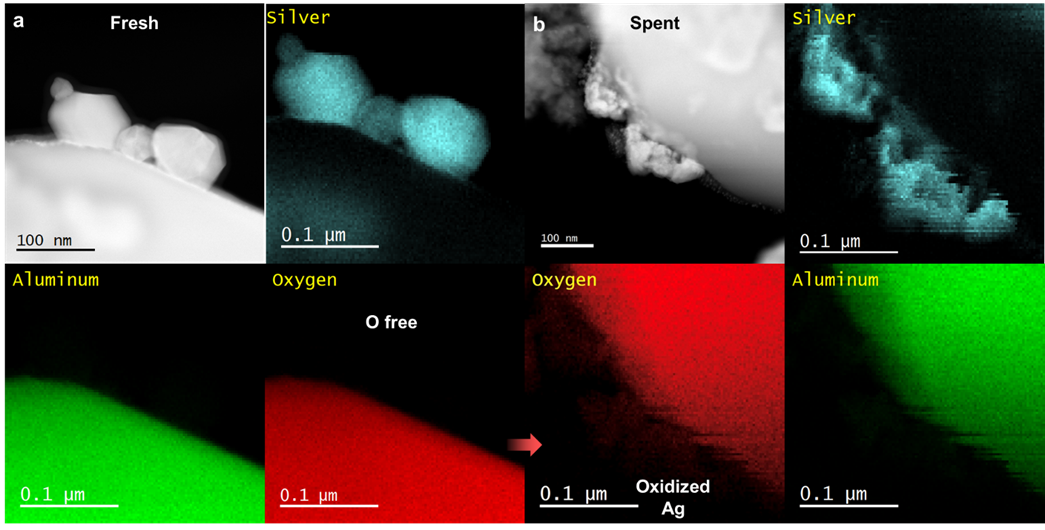 ACS Catalysis：原位拉曼+SSITKA，銀催化乙烯環氧化的全新機理解析