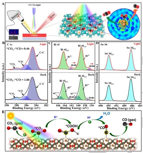 催化日報(bào)||頂刊集錦：Nature子刊/JACS/Angew./EES/ACS Nano等成果