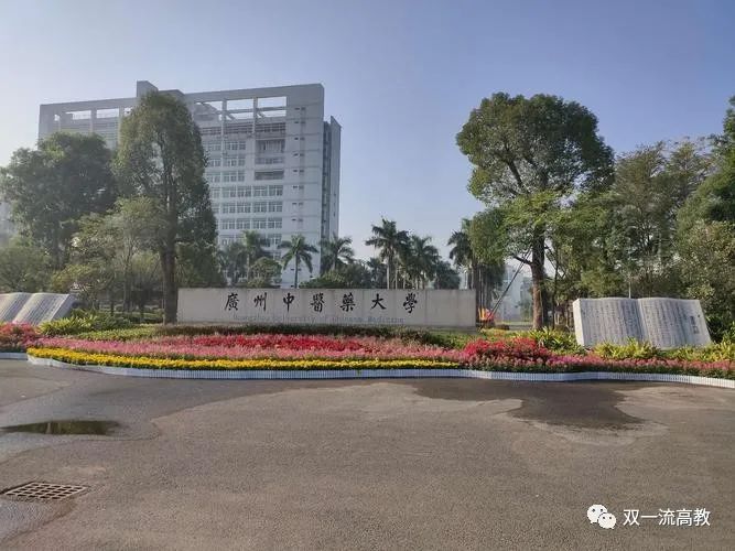 雙一流大學(xué)致歉！