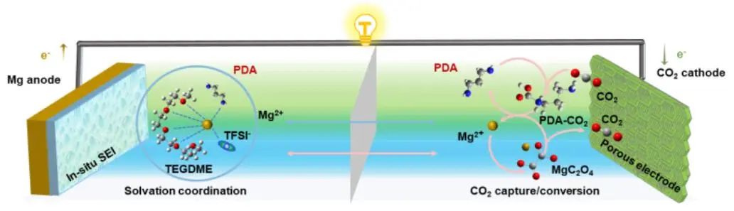 郭再萍/王澳軒等，最新Angew！Mg-CO2電池新突破！