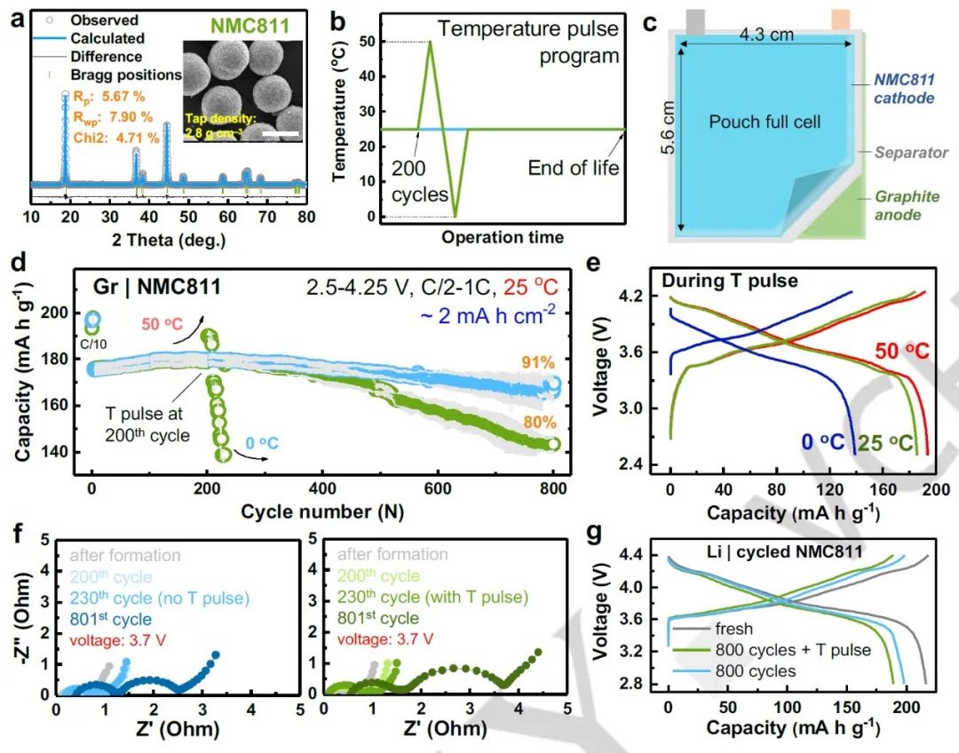 電池頂刊集錦：Angew、ACS Energy Lett.、AFM、ACS Nano等成果！