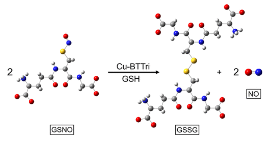 【純計算】JACS: 銅金屬-有機骨架催化S-亞硝基谷胱甘肽生成NO機制的計算研究