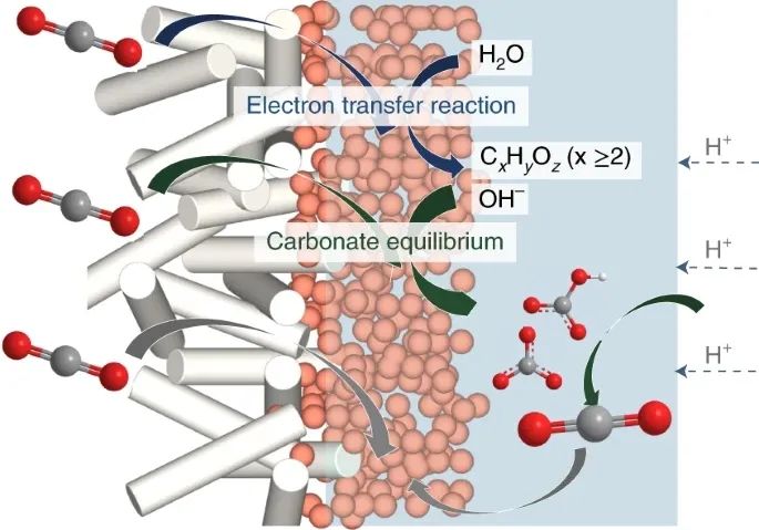 Edward H. Sargent院士和王瑩教授，最新Nature Catalysis！