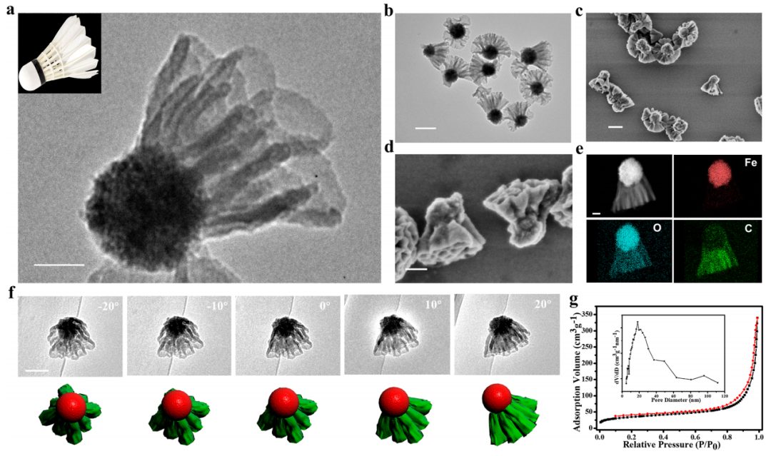 ?趙東元院士，最新JACS！