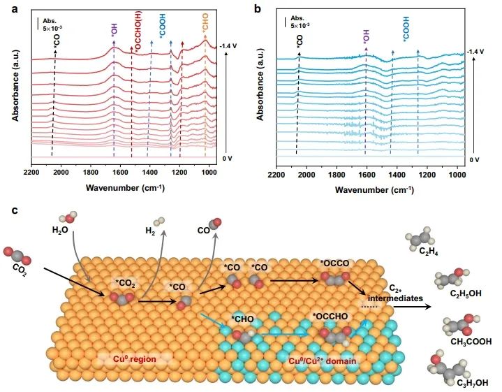 華東理工大學(xué)Nature子刊：Cu0/Cu2+界面上OC-CHO直接偶聯(lián)，實(shí)現(xiàn)CO2選擇性電還原為C2+