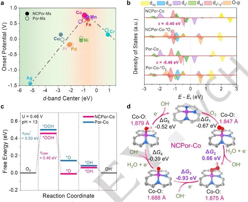 計算日報||頂刊集錦：Nature子刊/JACS/AFM/Angew/ACS Catal.等成果