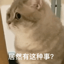 申請博士的導師沒名額了，我被他推薦給了院士！學術圈撿漏大王！