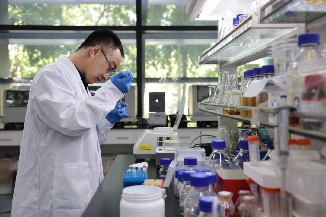 祝賀！中國科學家實現從二氧化碳到糖的精準全合成！