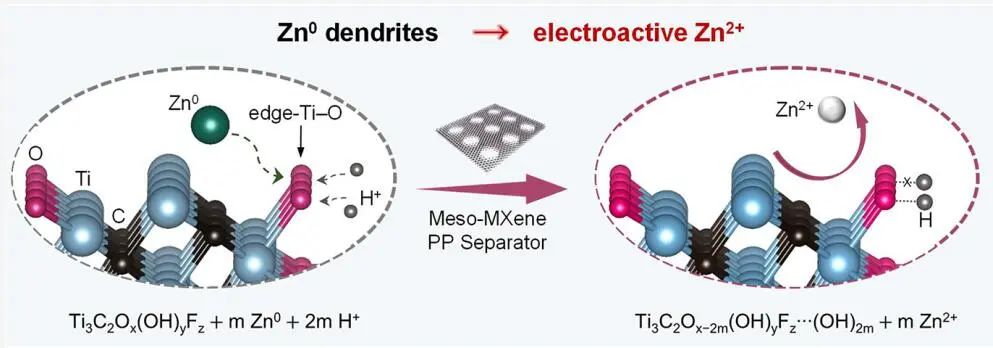 ?趙東元院士/晁棟梁研究員，最新JACS！