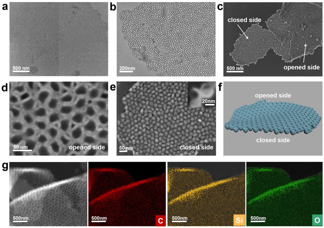 趙東元院士，最新JACS！