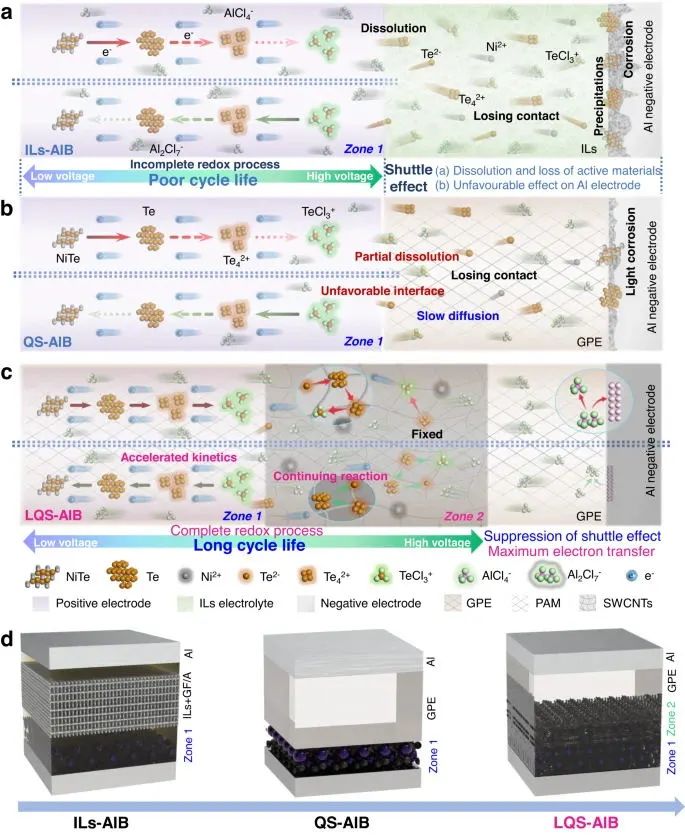 ?北科焦樹強(qiáng)等，最新Nature子刊！