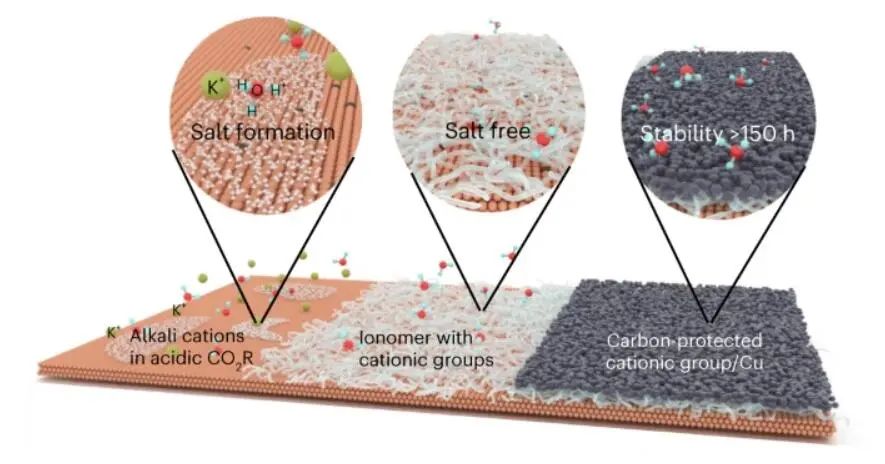 院士聯合出擊！多倫多大學/奧克蘭大學最新Nature Catalysis！