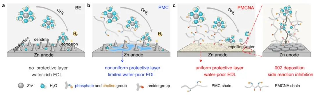 電池頂刊集錦：Angew、ACS Energy Lett.、AFM、ACS Nano等成果！