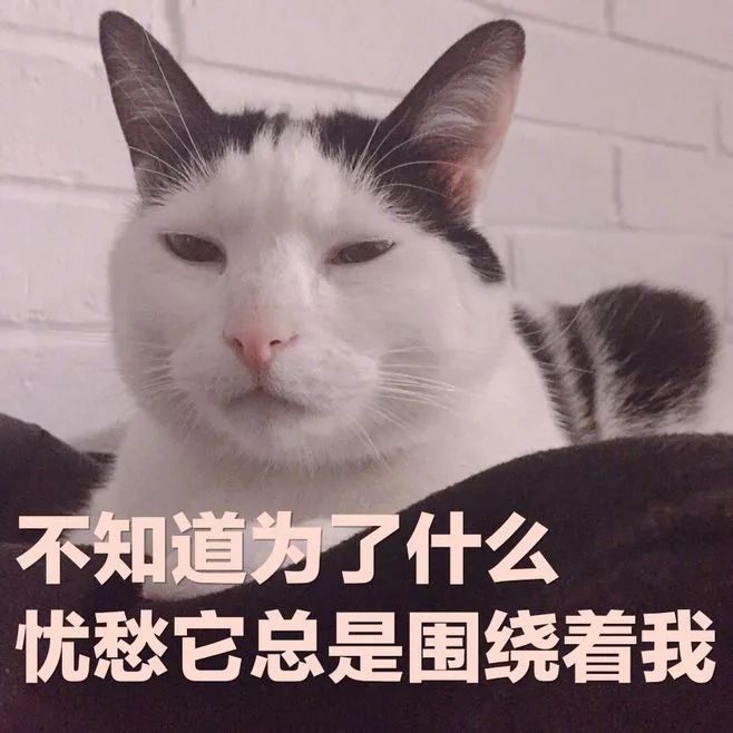被罵慘！博士師弟：實驗室發了50篇SCI的菌，被我一鍋端了...