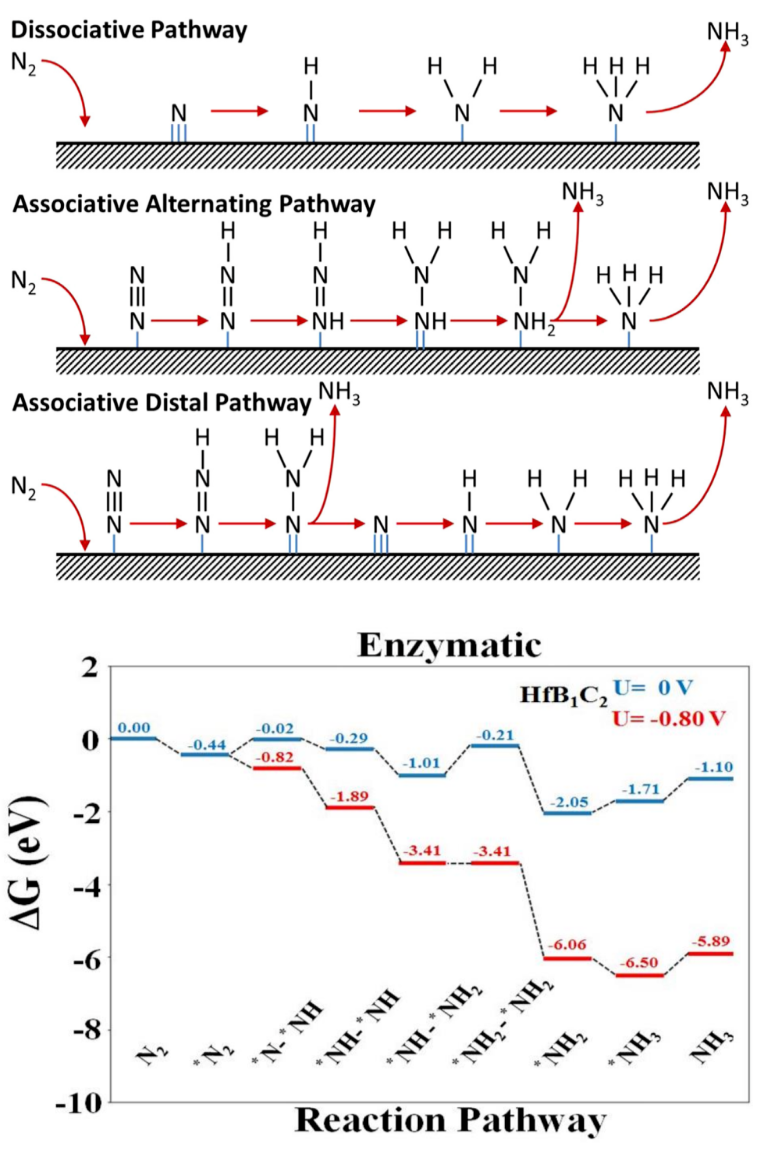 Nature已發！華算科技11月客戶成果超70篇：JACS、Angew、EES等頂刊狂發！