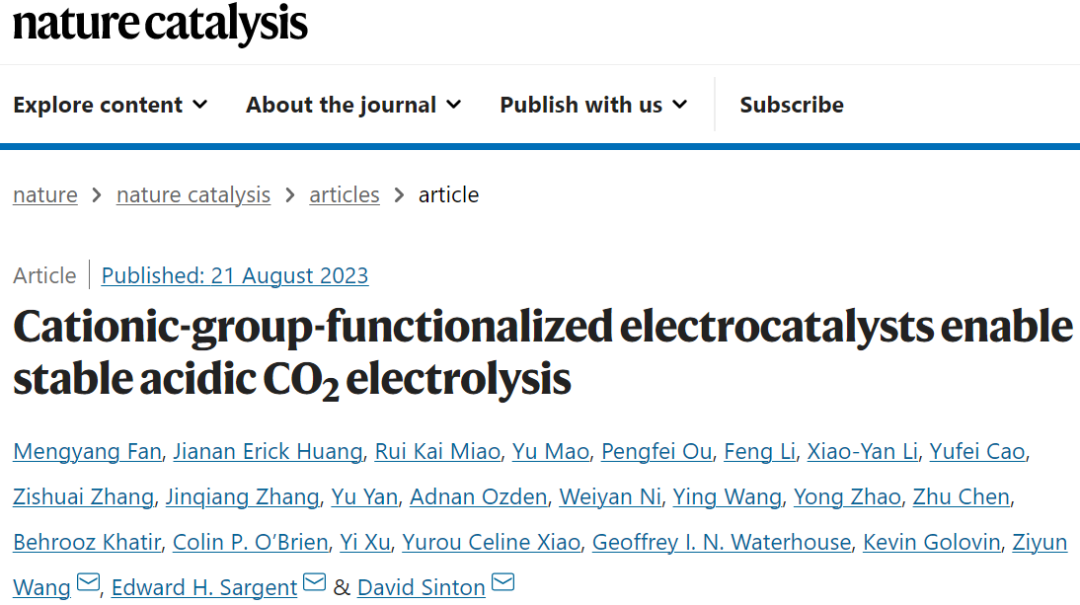 院士聯合出擊！多倫多大學/奧克蘭大學最新Nature Catalysis！