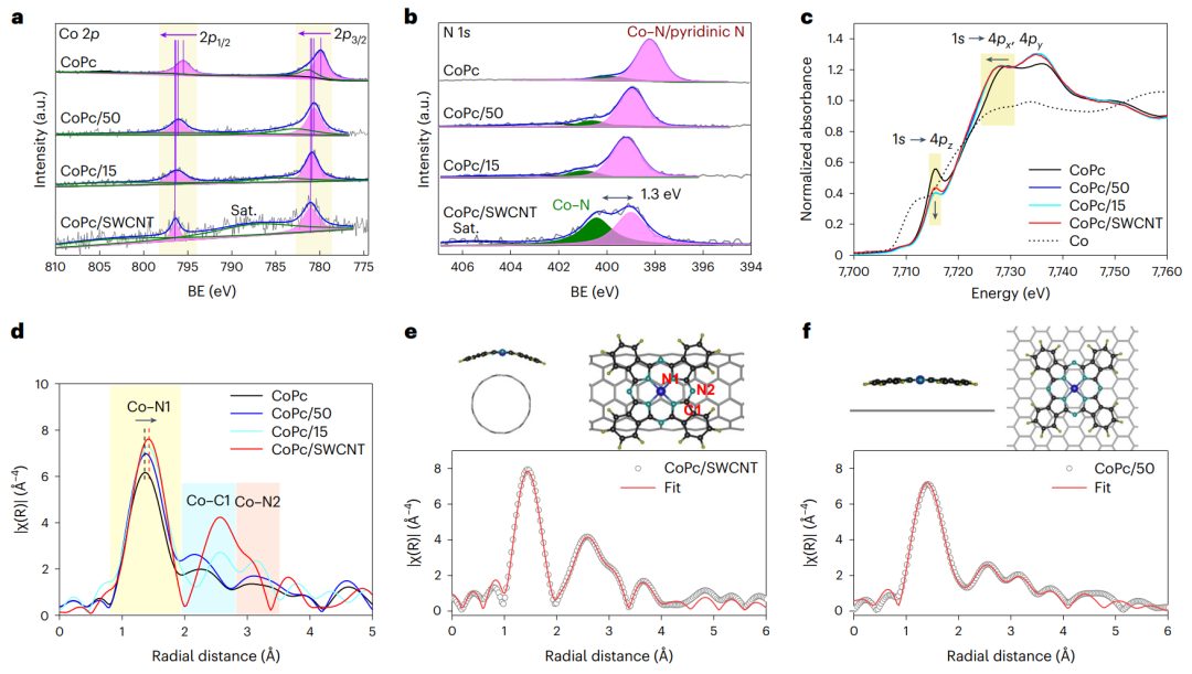 香港城市大學(xué)葉汝全團(tuán)隊(duì)，最新Nature Catalysis！給單原子催化劑施加一點(diǎn)應(yīng)變，效果更好！