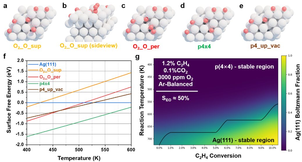 ACS Catalysis：原位拉曼+SSITKA，銀催化乙烯環氧化的全新機理解析