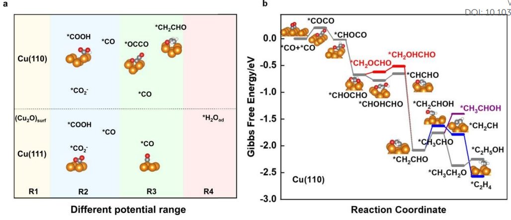 【計算+實驗】頂刊案例解讀：JACS、EES、Angew、Nature子刊、ACS Catalysis、ACS Nano等成果！