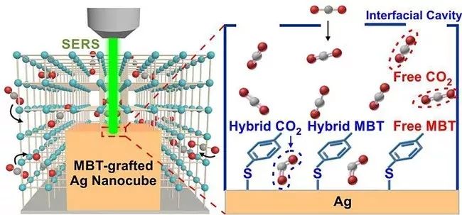 學術動態(tài)｜金屬表面CO2聚集形成準凝聚態(tài)相