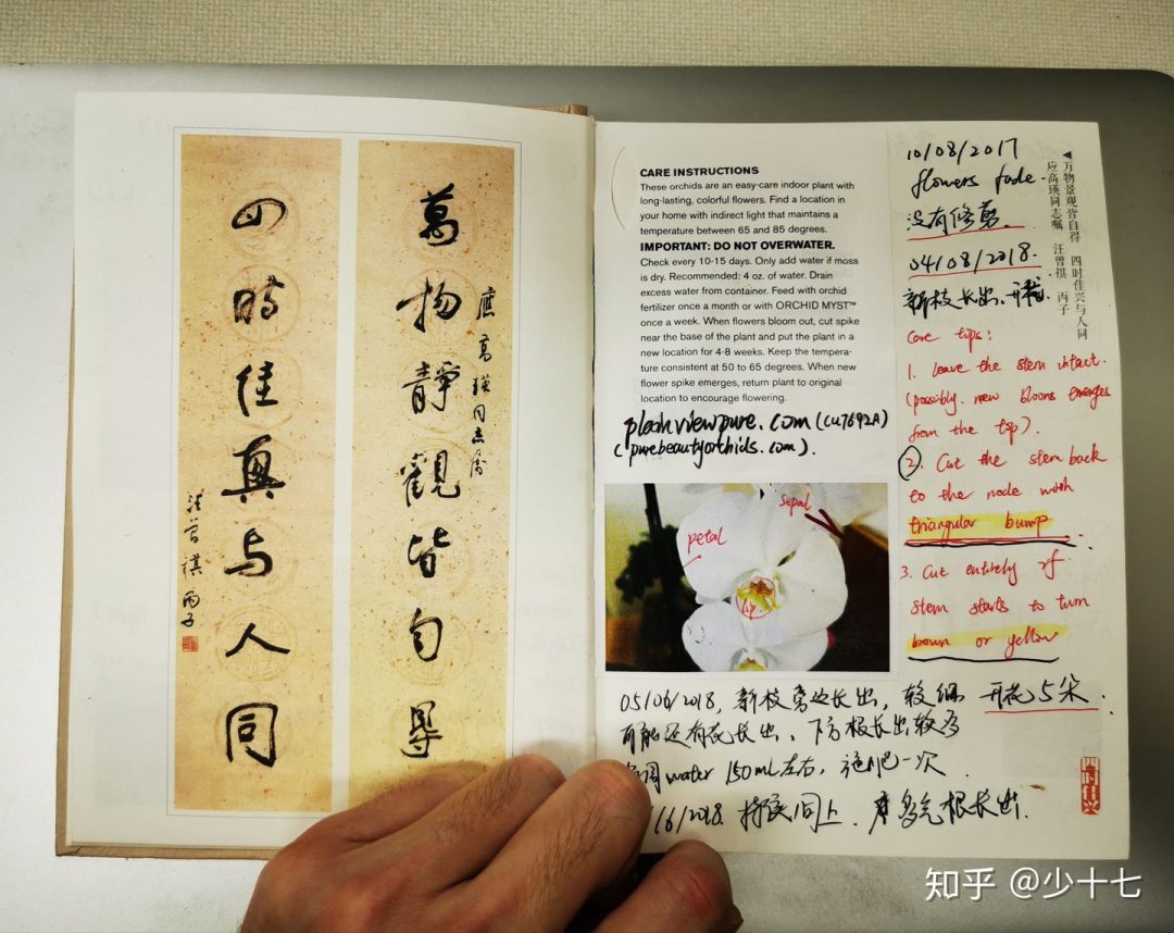 5年沒發paper，讀博想放棄？中科大博導萬字自述：曾連收13封拒稿信