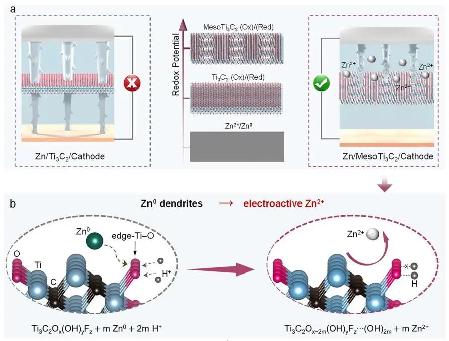 ?趙東元院士/晁棟梁研究員，最新JACS！