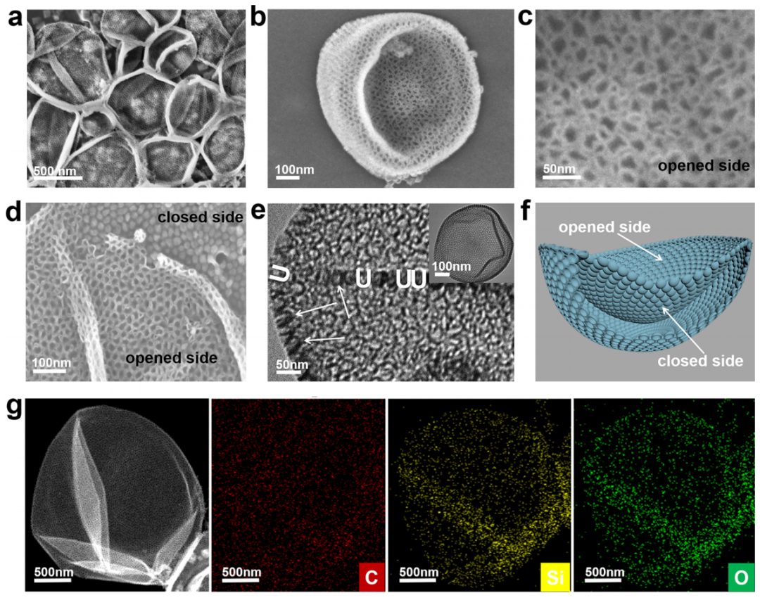 趙東元院士，最新JACS！