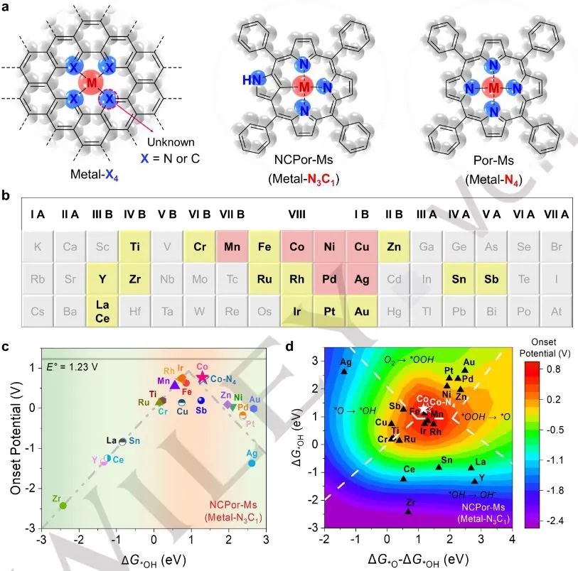計算日報||頂刊集錦：Nature子刊/JACS/AFM/Angew/ACS Catal.等成果