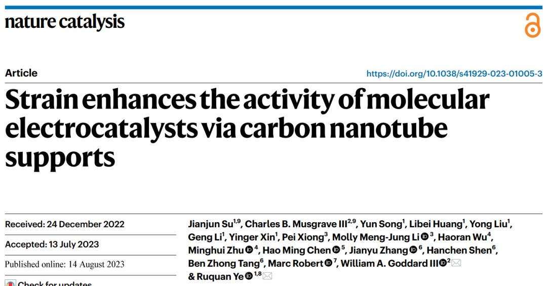 香港城市大學(xué)葉汝全團(tuán)隊(duì)，最新Nature Catalysis！給單原子催化劑施加一點(diǎn)應(yīng)變，效果更好！