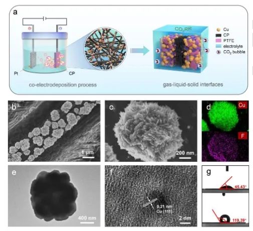 催化日報(bào)||頂刊集錦：Nature子刊/JACS/Angew./EES/ACS Nano等成果