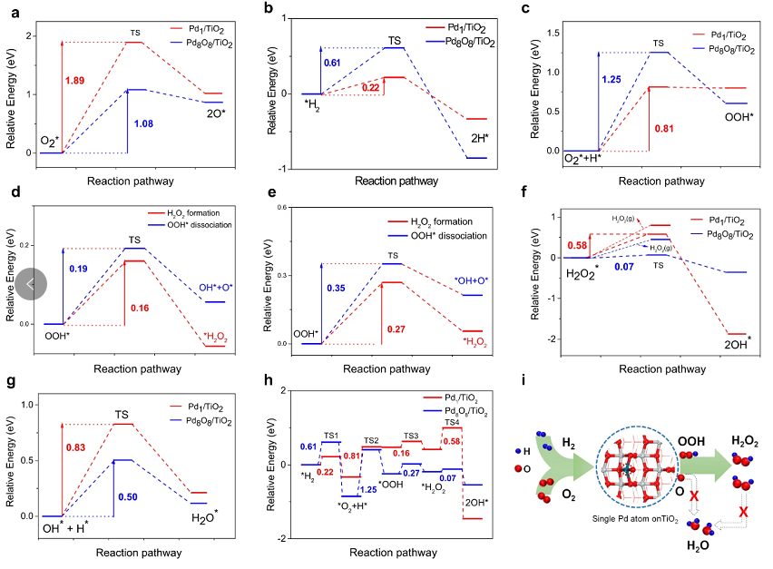 最新【計算+實驗】案例解讀：Nature子刊、JACS 、Angew、ACS Catalysis、ACS Nano等