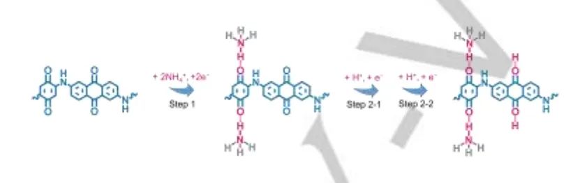 ?同濟劉明賢Angew：有機超結(jié)構(gòu)中非金屬NH4+/H+電荷載體共儲能機制構(gòu)建高性能水系鋅-有機電池