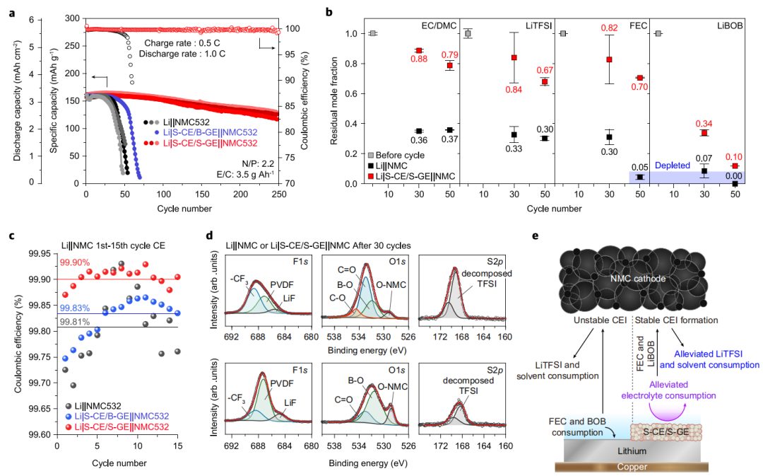 Nature子刊：遷移數(shù)0.96！單離子導(dǎo)體助力高能鋰金屬電池