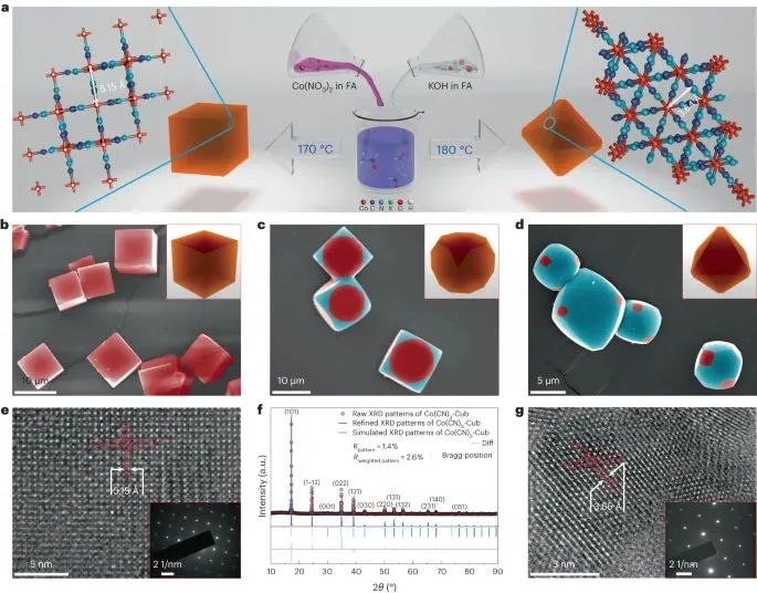 北化工，最新Nature Catalysis！