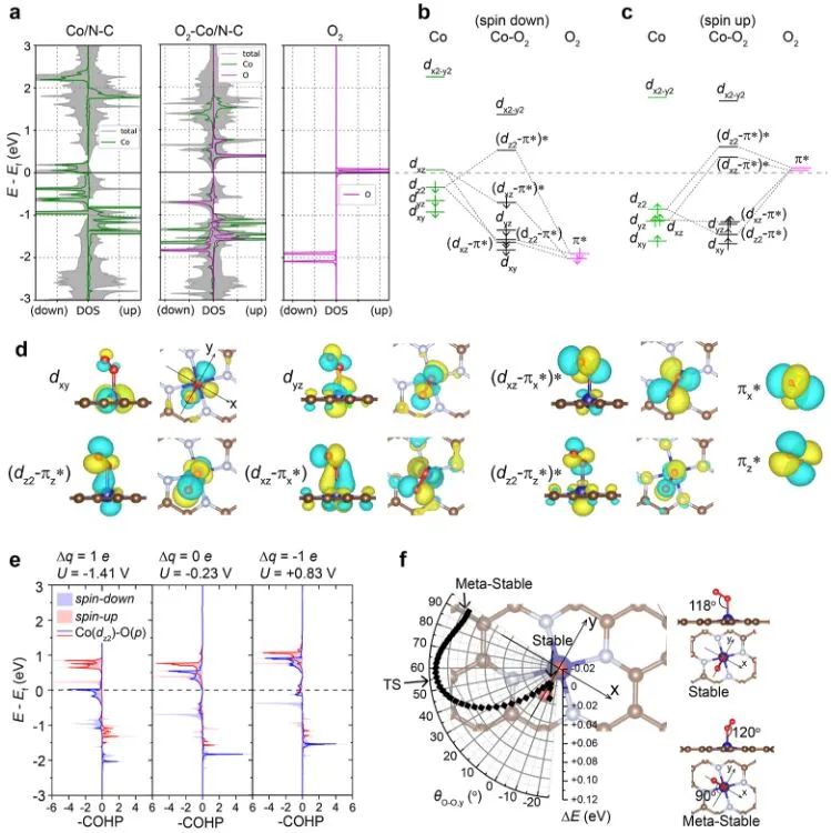 南開大學(xué)?JACS：M-N-C單原子催化劑中電勢驅(qū)動的吸附能反轉(zhuǎn)