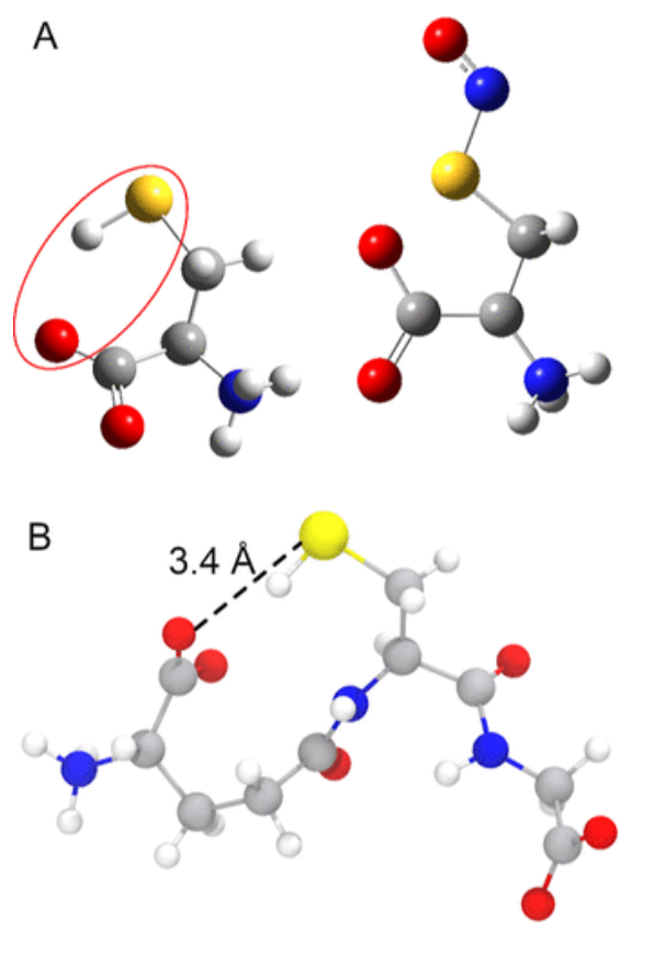 【純計算】JACS: 銅金屬-有機骨架催化S-亞硝基谷胱甘肽生成NO機制的計算研究