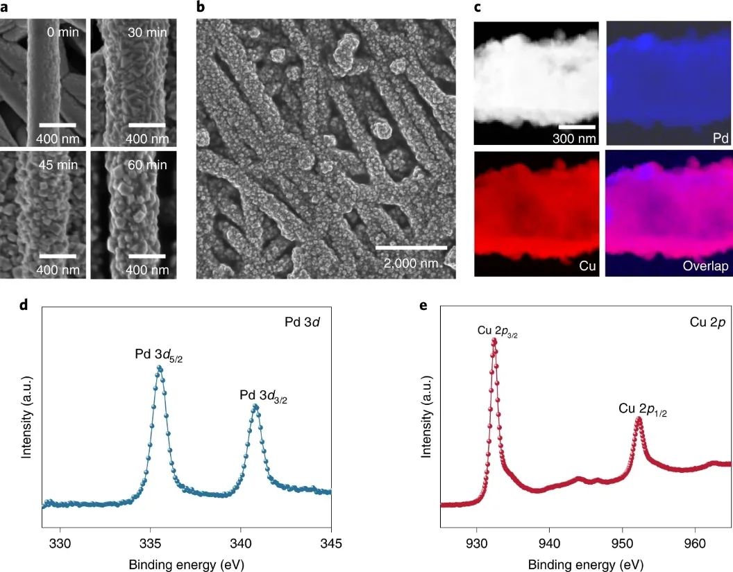Edward H. Sargent院士和王瑩教授，最新Nature Catalysis！