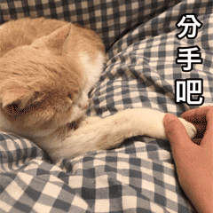 分手！女博士發現男博士論文有紕漏，覺得其智力水平或將影響下一代
