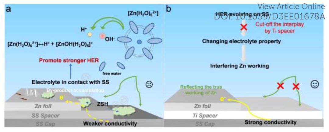 數篇Science、Nature中招，紐扣電池測試有陷阱！最新EES喊你來避雷！