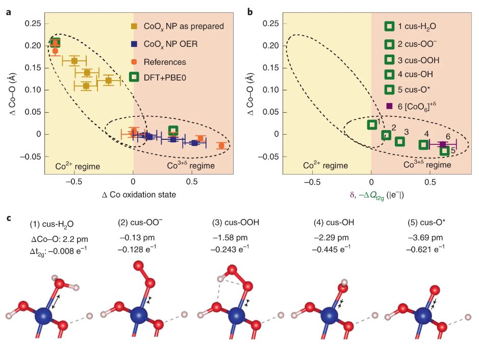 【計算+實驗】頂刊案例解讀：JACS、EES、Angew、Nature子刊、ACS Catalysis、ACS Nano等成果！