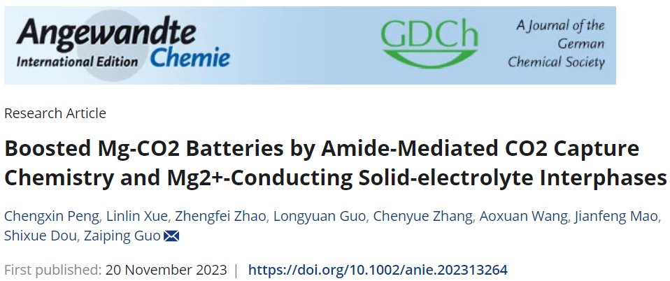 郭再萍/王澳軒等，最新Angew！Mg-CO2電池新突破！