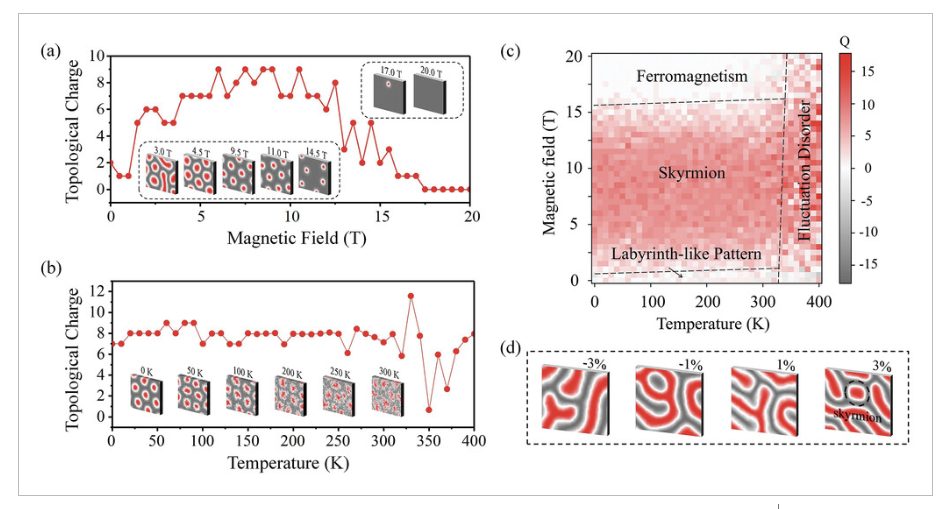 【純計算】AFM：二維晶格中的d0磁性skyrmions