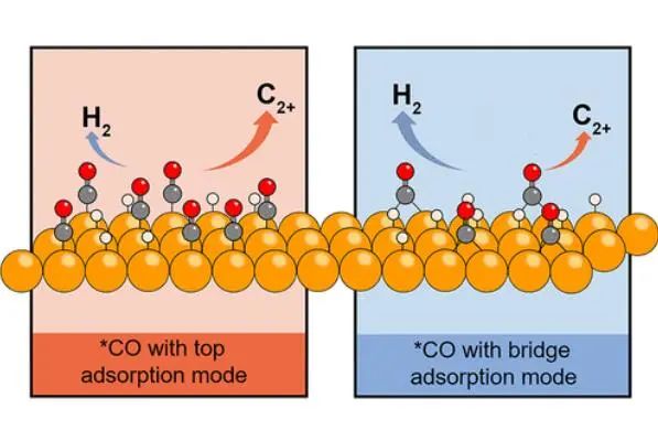中科大耿志剛Nano Lett.：了解*CO覆蓋率對(duì)CO2電還原中C-C耦合的影響