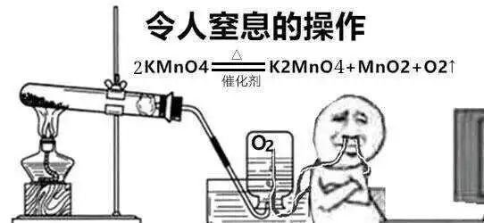 遇到水貨研究生是什么體驗？導師：這屆學生我想退貨…
