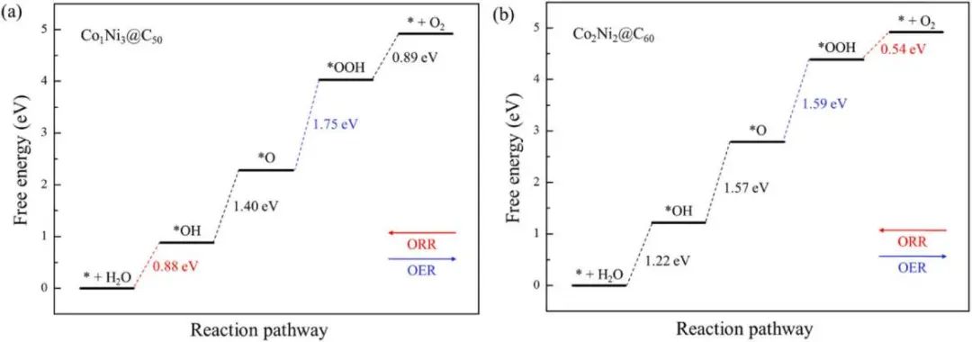 【純計算論文】J. Alloys Compd：富勒烯中封裝的雙金屬合金助力氧還原/析氧反應