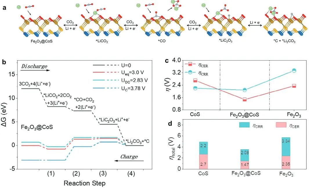 計算日報||頂刊集錦：Nature子刊/JACS/AFM/Angew/ACS Catal.等成果